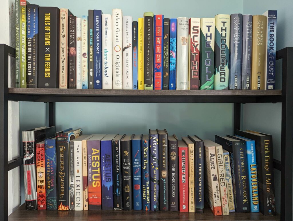 two shelves of books to read